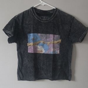 3/$12 Cropped Michelangelo Tee (S)
